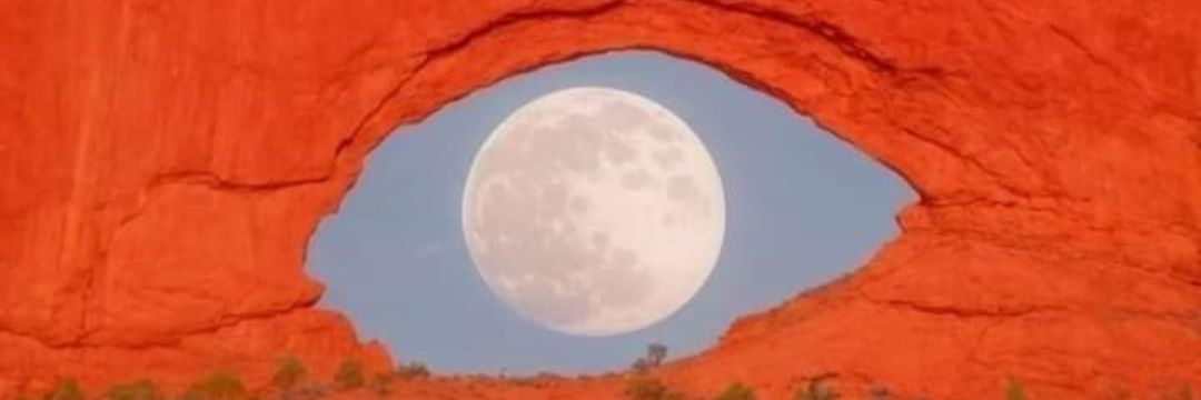 Miechelle GEN X banner