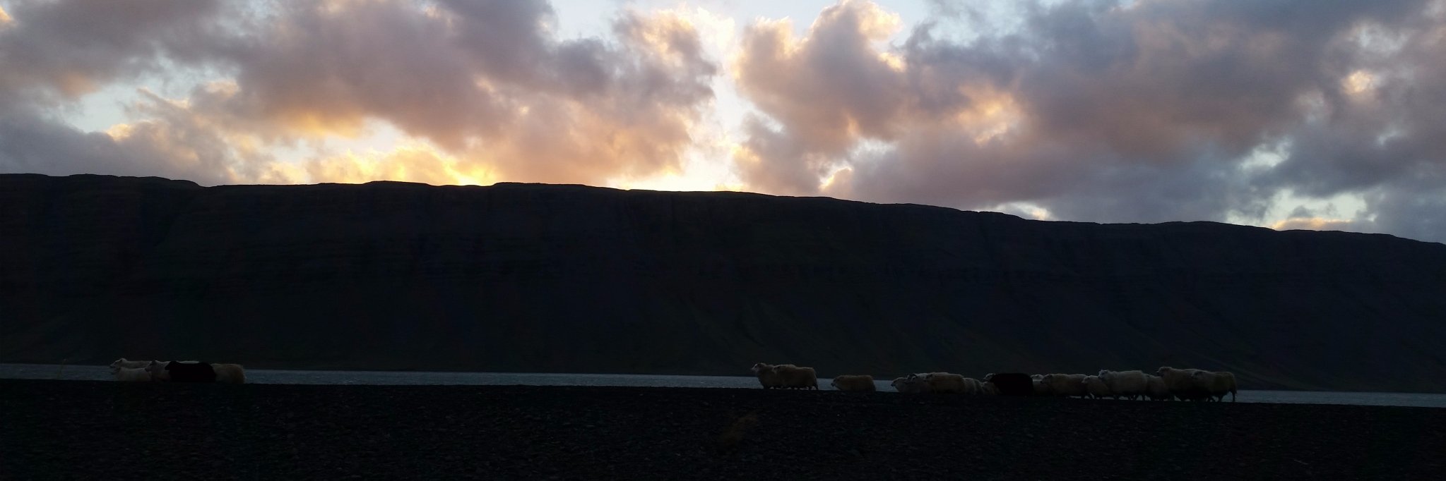 Jónas Þrastarson banner