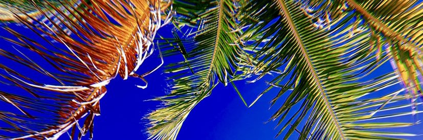 jessdippo2's profile banner image
