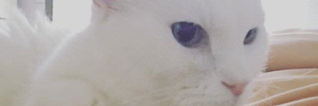 rcana000's profile banner image
