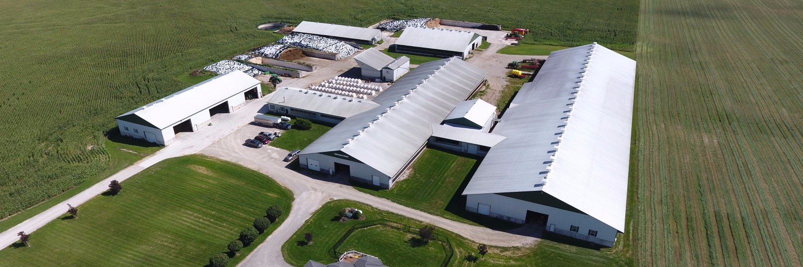 Gerard Steenbeek banner