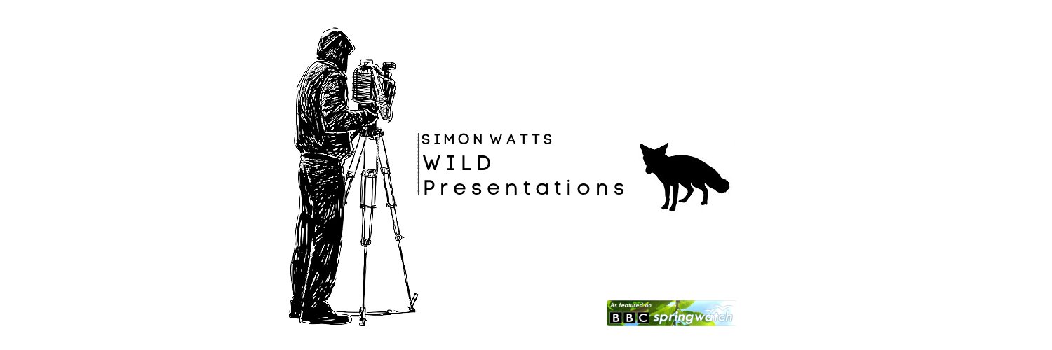 Simon Watts WILD Presentations banner