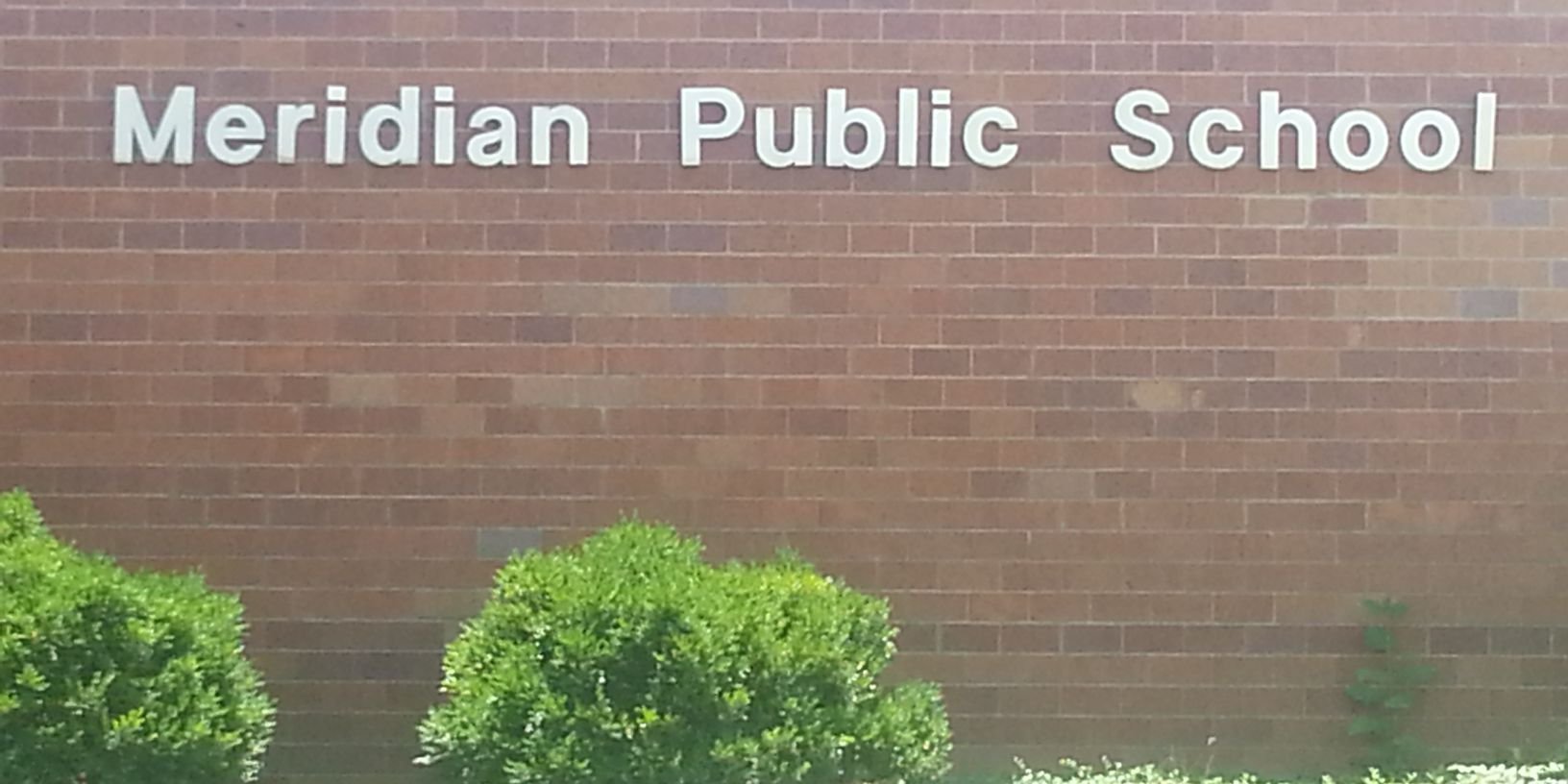 Meridian Mustangs banner