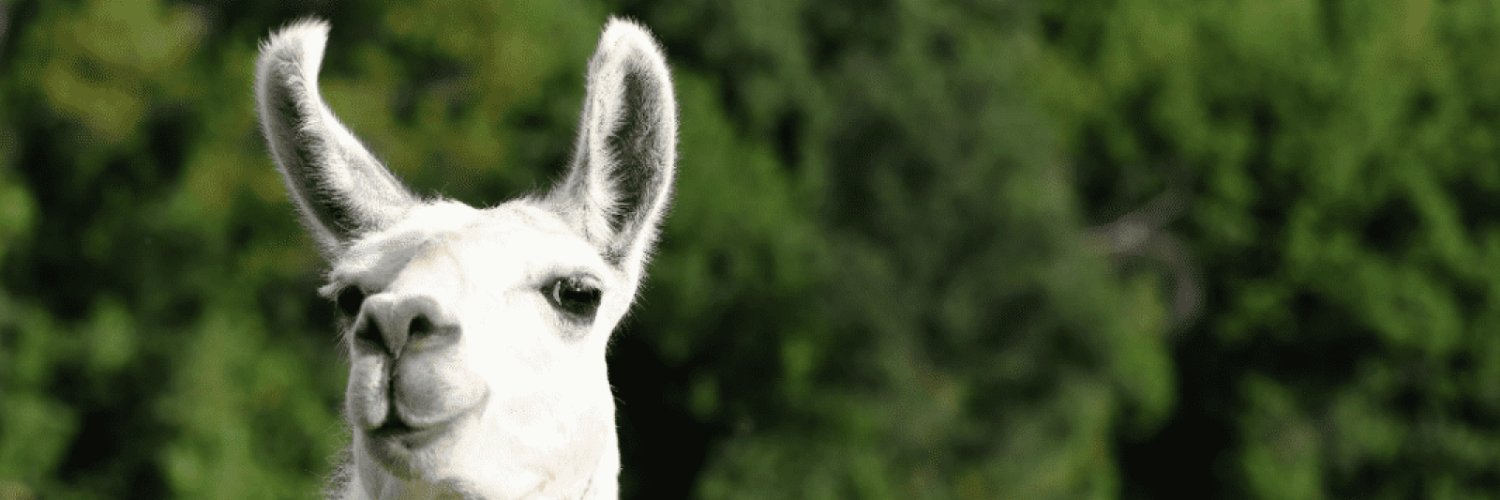 pipoex's profile banner image