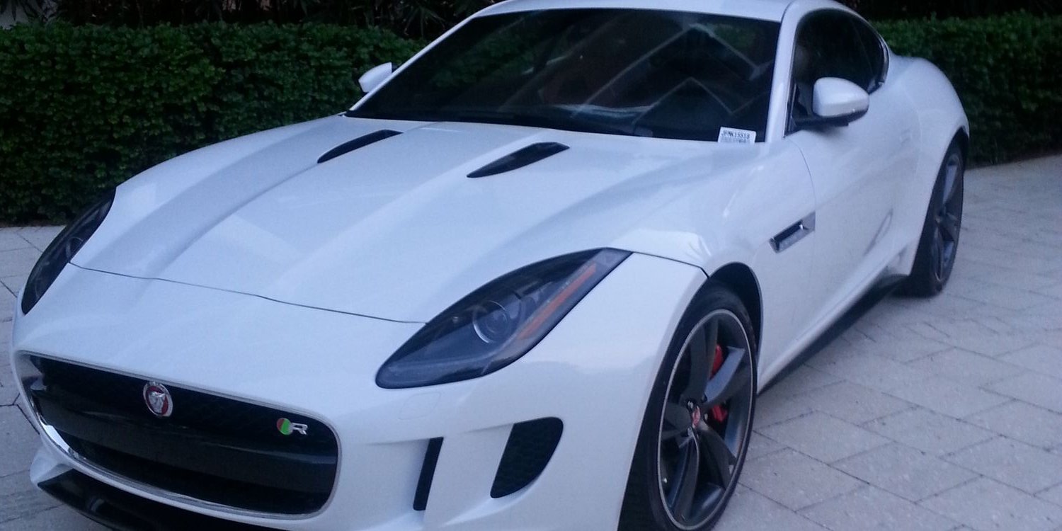 Long term investor 💰💰 banner