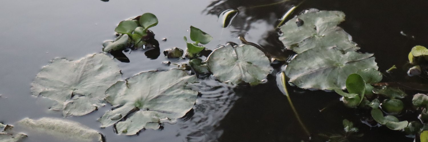 je_mapau's profile banner image