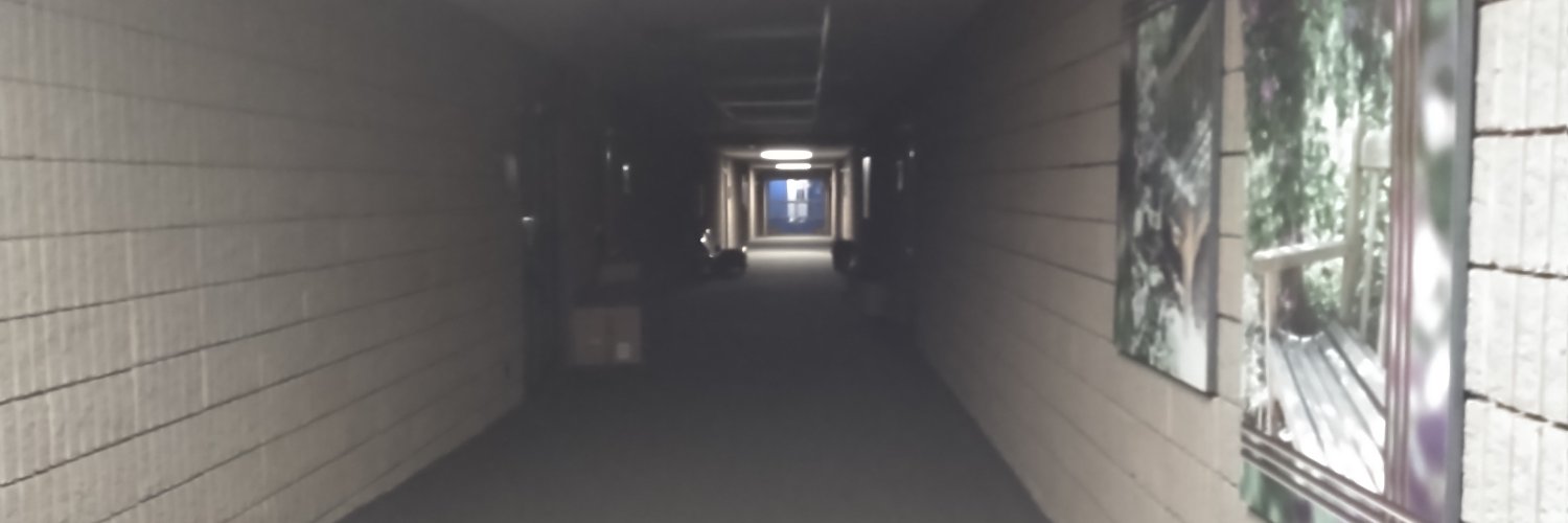 amusingonlife's profile banner image
