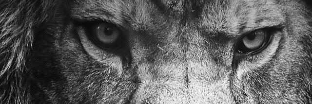 RylanJames_'s profile banner image