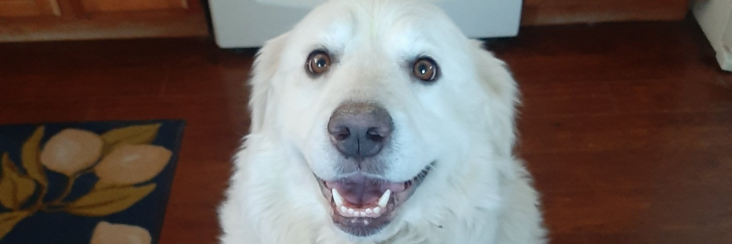 mlanders1's profile banner image