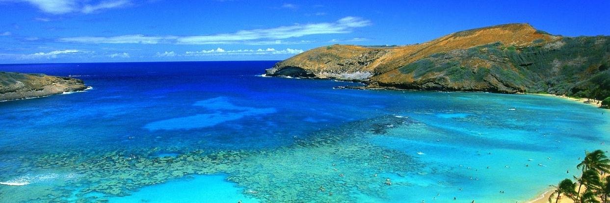 andrea vannini banner