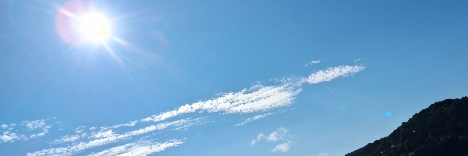 MossGillian's profile banner image