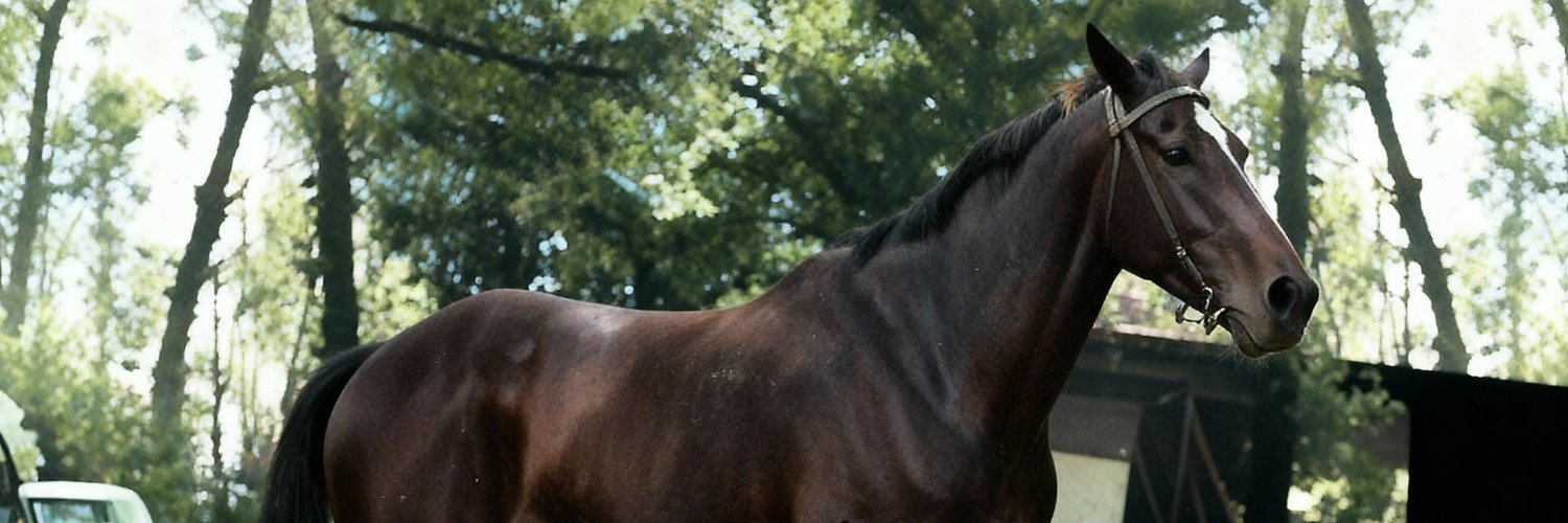 Luis Marchand banner