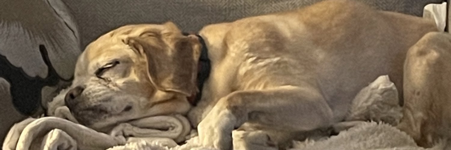 bjberthold's profile banner image