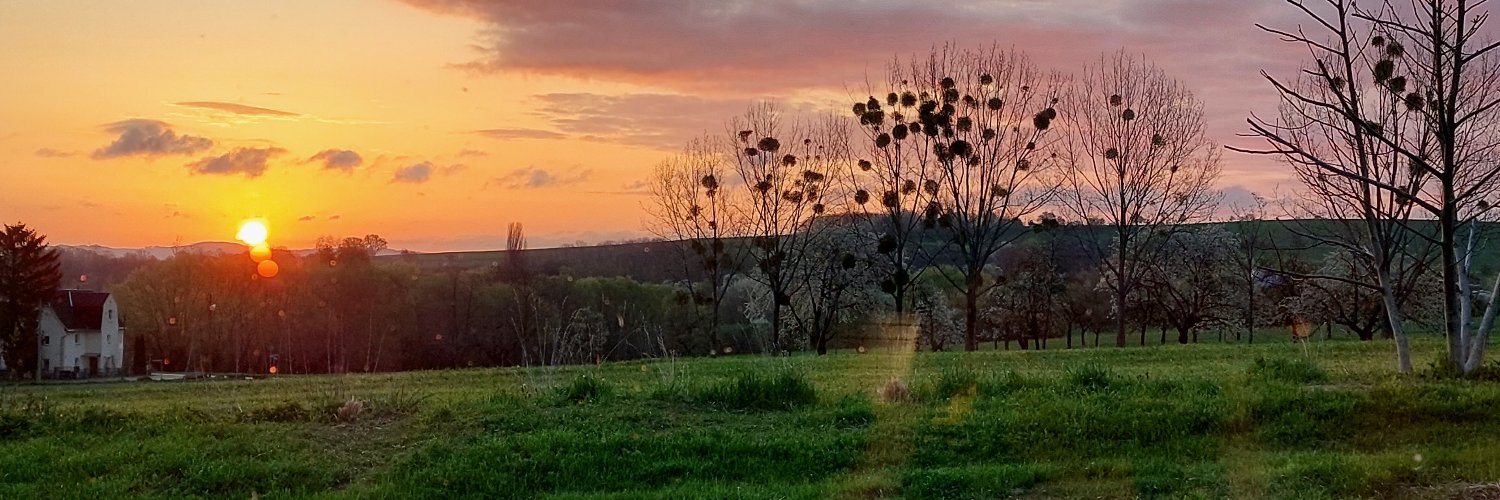 Cornelia Fischer 🎗 banner