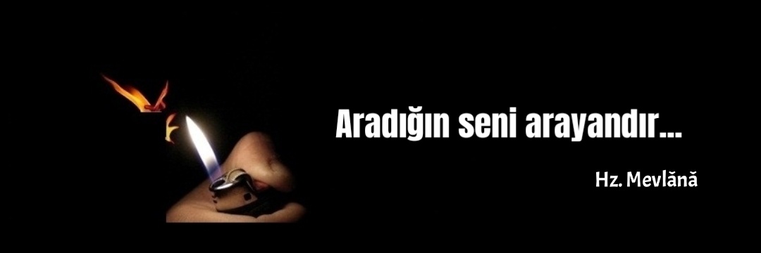 ___zifiri___'s profile banner image