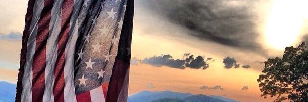 GSteiny_5's profile banner image