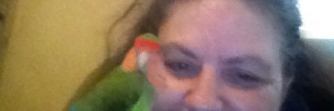 Jennifer Elaine Fill banner