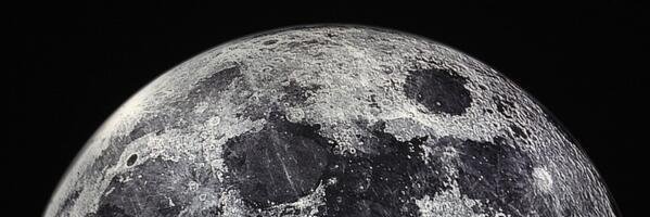 Riley_PETIT's profile banner image
