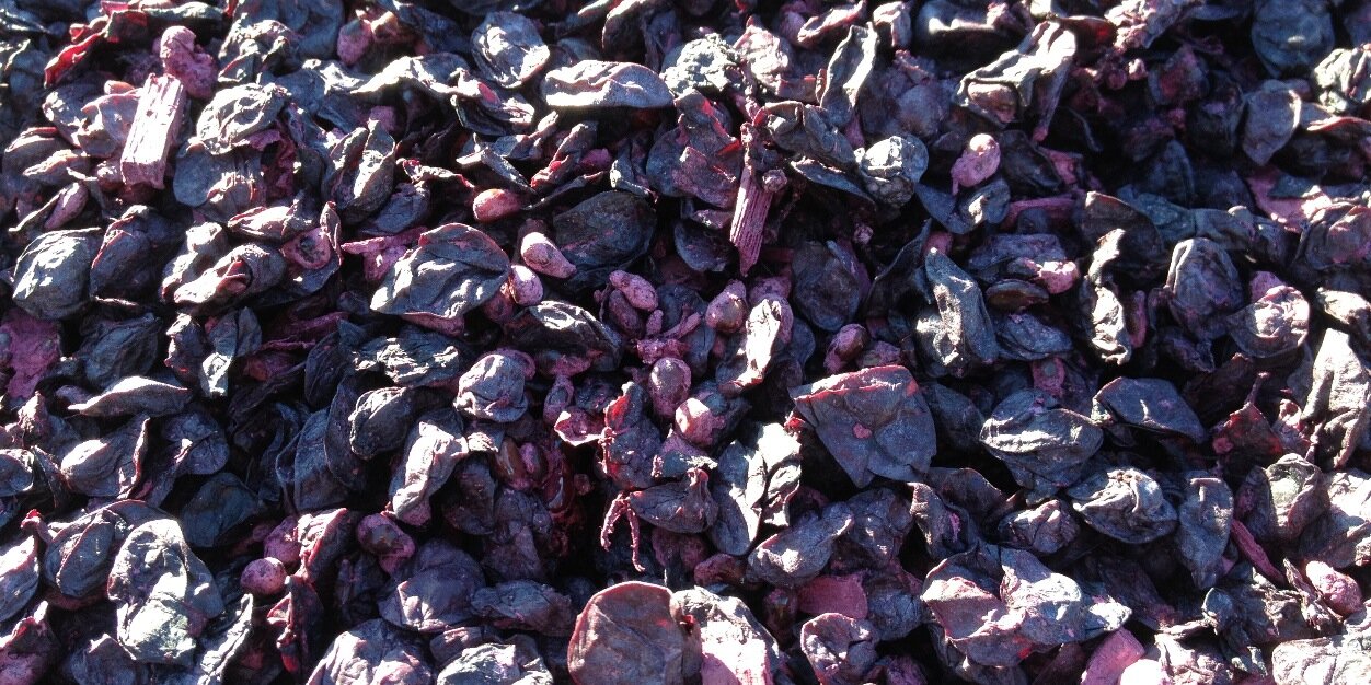 Mckenzie-Mueller banner