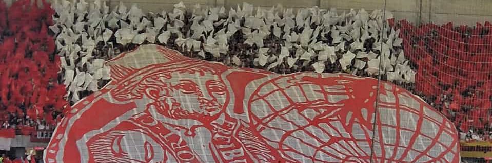 Renate Kaiser 🌻💚🇪🇺🇺🇦🏳️‍🌈🇬🇱 banner