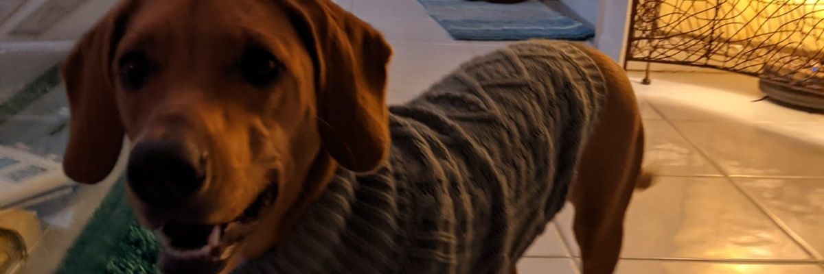 OsDaJu's profile banner image