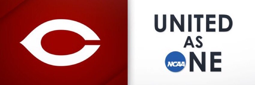 UChicago Volleyball banner