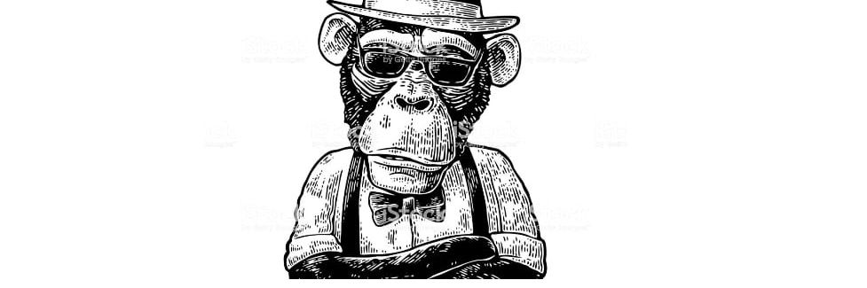 MonkeyHouseco's profile banner image