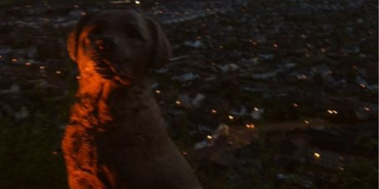 Nathan Joel Downs banner