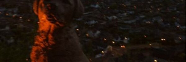 njdowns Profile Banner