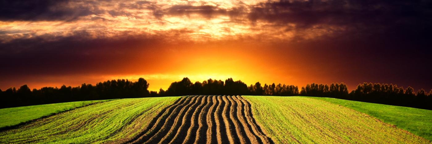 Matthew Cossey banner