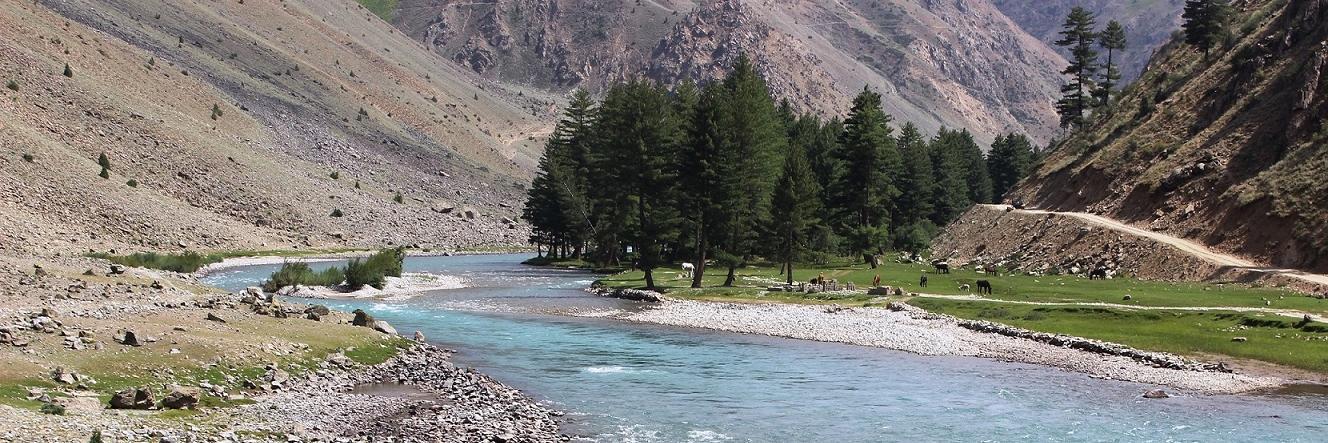 Beauty_Pakistan's profile banner image
