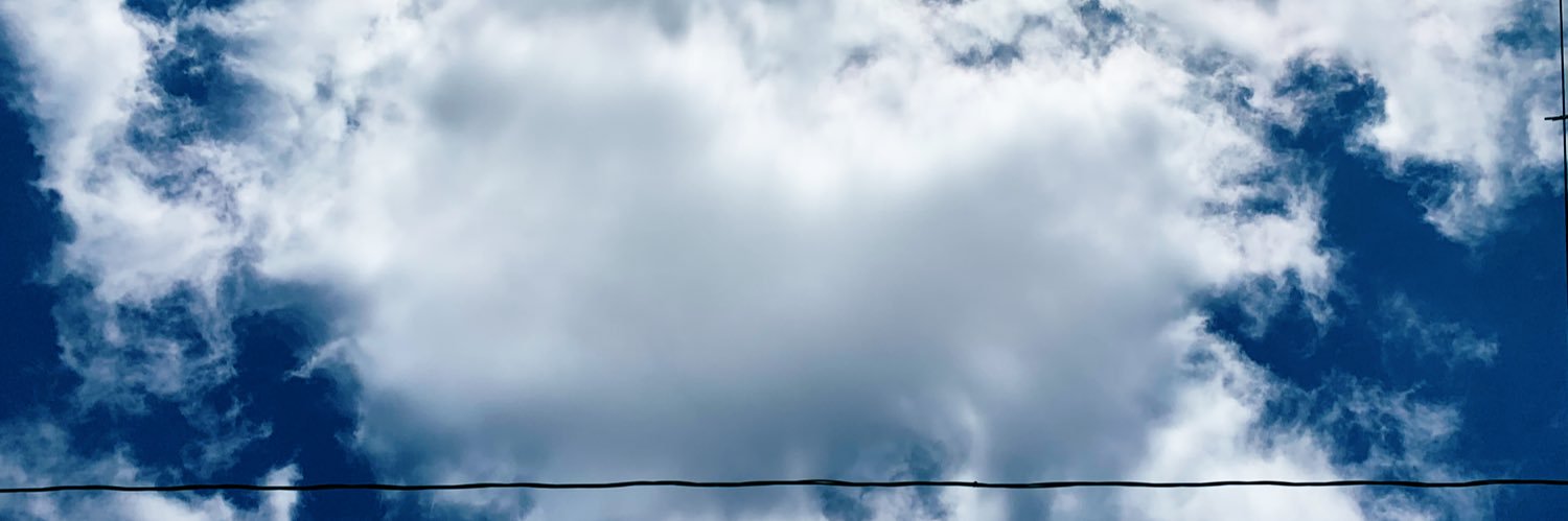 nikimnflwr0709's profile banner image