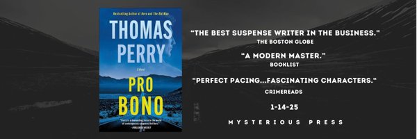 TPerryauthor Profile Banner