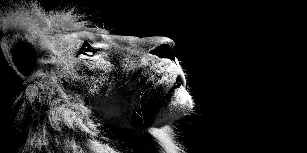 jaware33's profile banner image