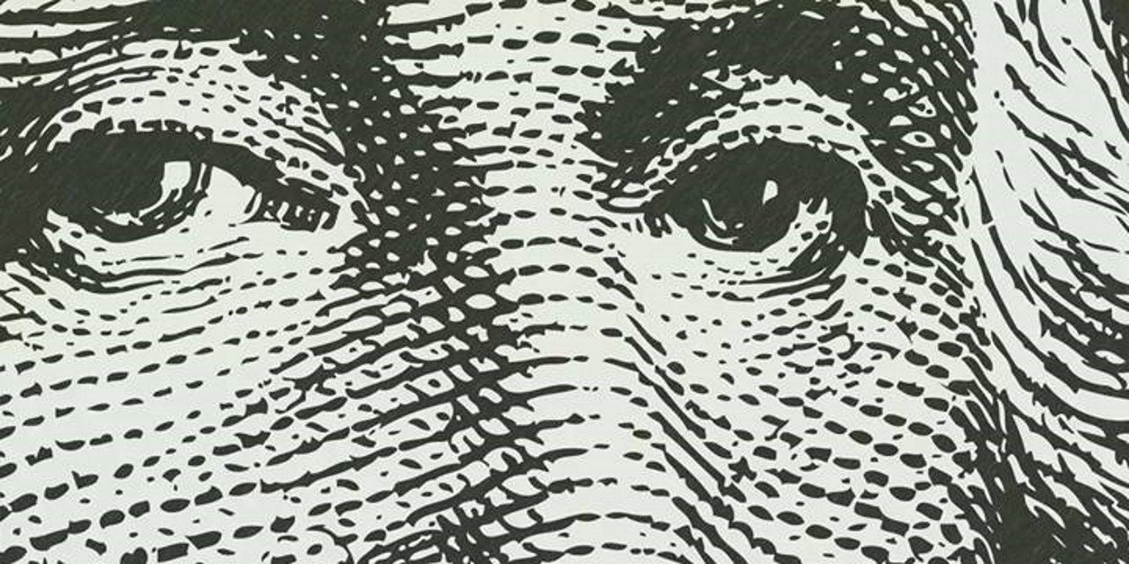Cryptobotter's profile banner image