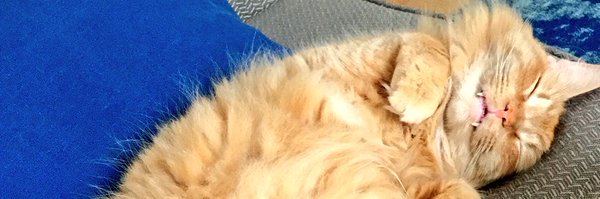 Ltolman Profile Banner