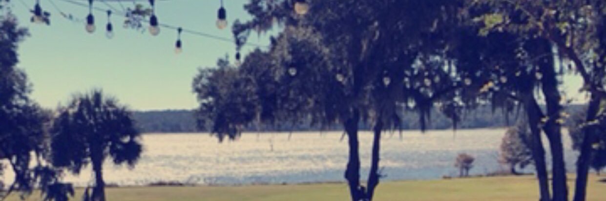 Annegwynn's profile banner image