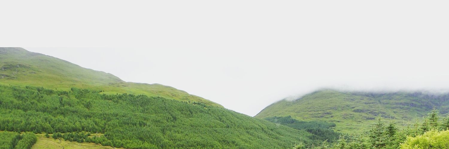 Bimpe's profile banner image