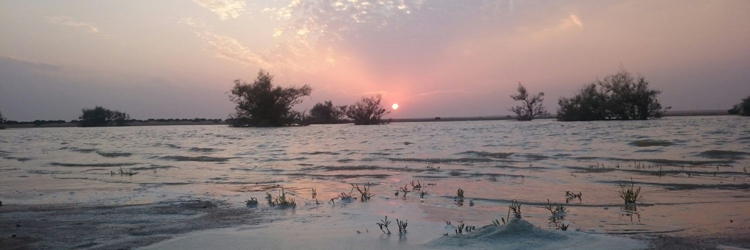 D_BOkX's profile banner image