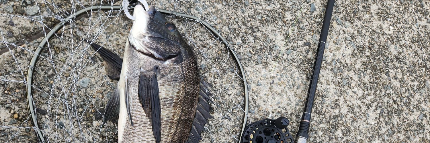 ツヨっさん banner