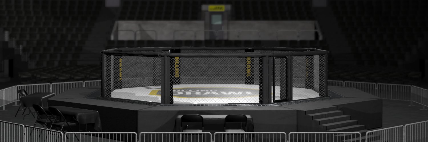 billingbrawl's profile banner image