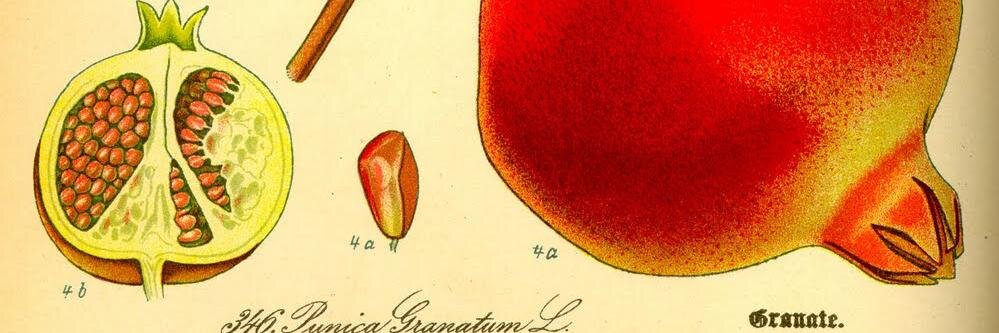 Charming Hostess banner