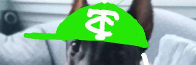 MeltedMindOfMJ's profile banner image