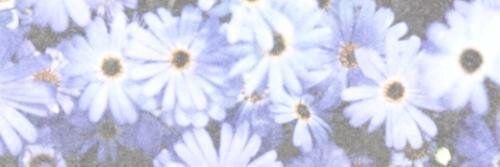griergdr's profile banner image