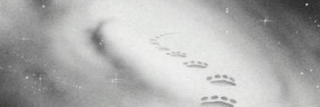 9Littermates's profile banner image