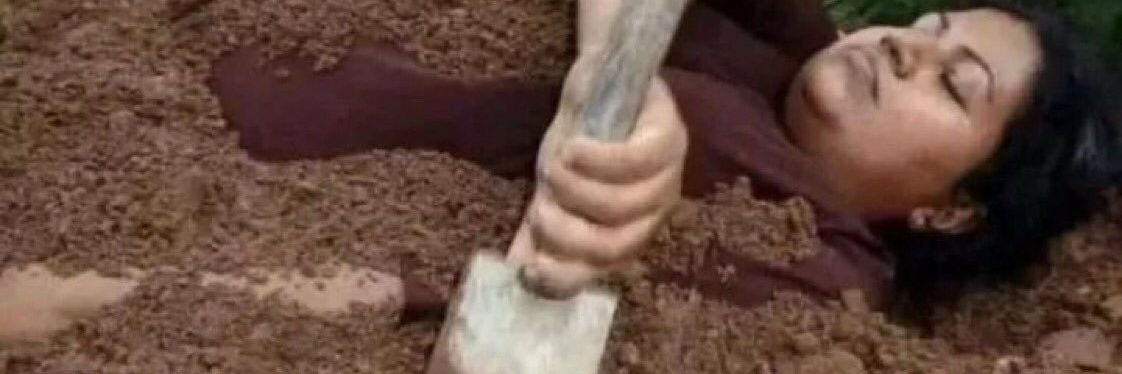 programmer_cow's profile banner image
