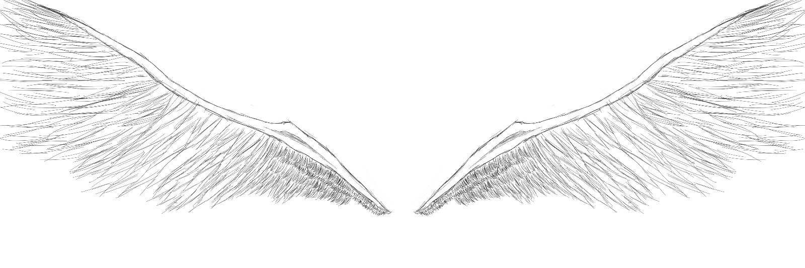 SanjayCorr's profile banner image