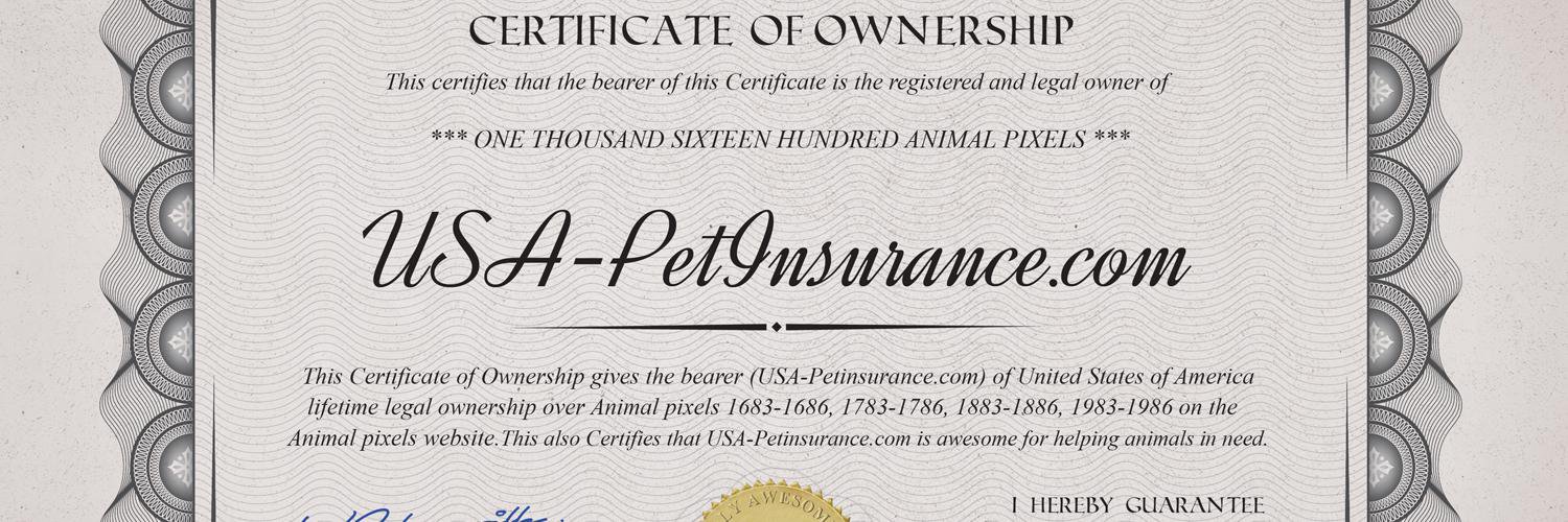 US_PetInsurance's profile banner image
