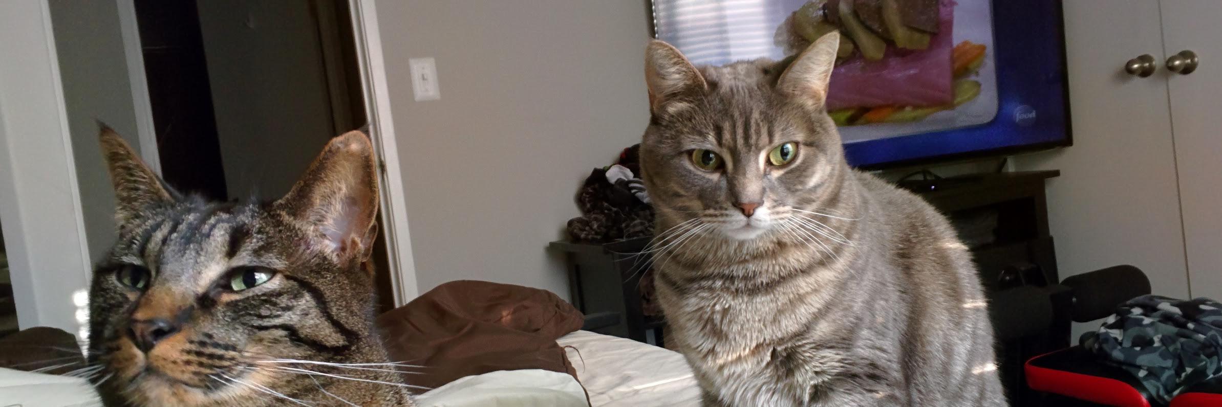 Keith Sullivan banner