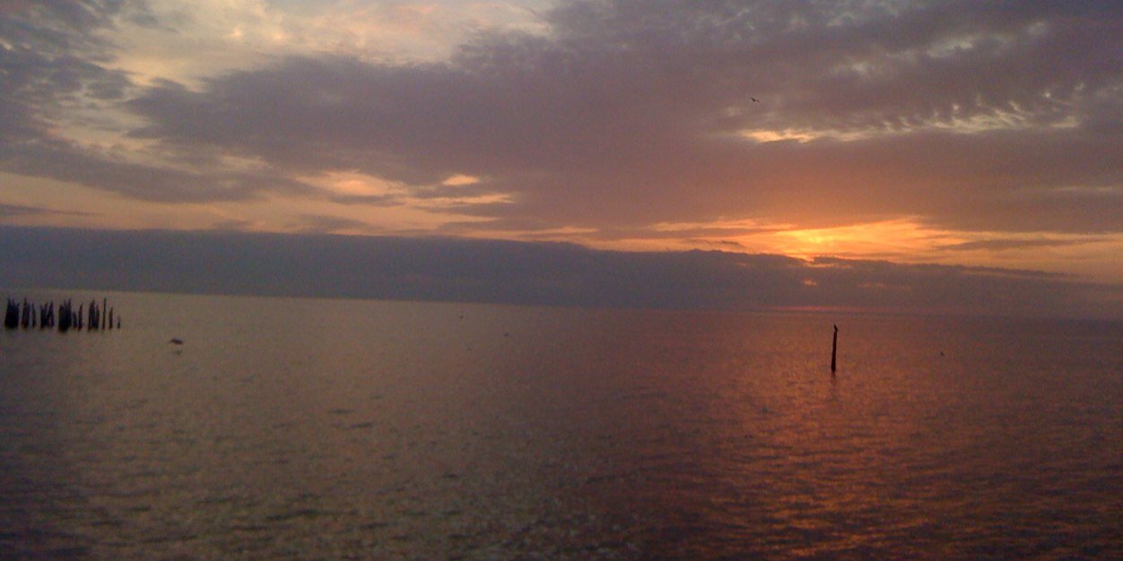 LADawg49's profile banner image